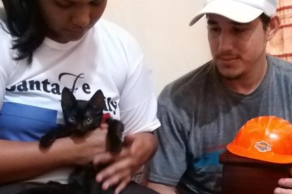 El gatito que horas antes el padre le había regalado a su niño.