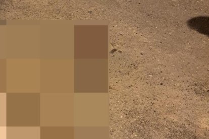 Partes humanas estaban en un saco.