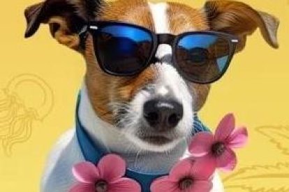 Ve con tu mascota y pásala increíble.