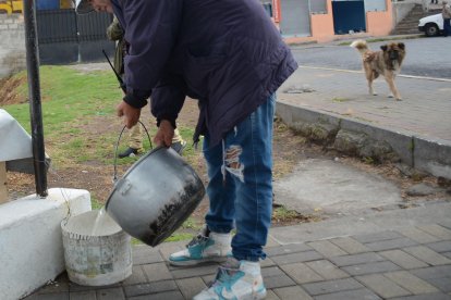 Los lugareños se encargan de abastecer a los canes de agua y alimento.