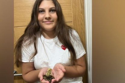 Los polluelos se llaman Pebbles (oscuro) y Sepeckles (amarillo).