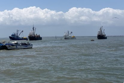 La preocupación de los pescadores surge a raíz de la medida de 8 millas náuticas como reserva marina, para proteger especies.