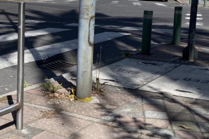 En el sector La Mariscal, del centro norte capitalino, hace falta un tacho.