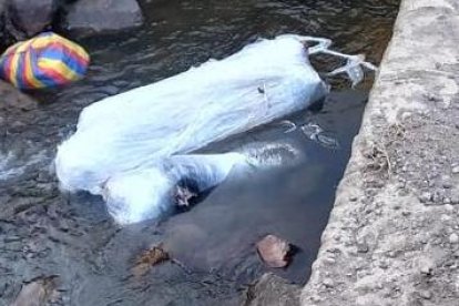 Su cuerpo fue hallado mutilado en un riachuelo de la vía Pifo-Papallacta.