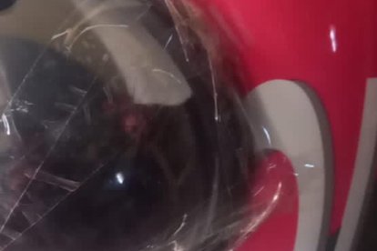 La gatita era llevada en una mochila para hacerle una resonancia magnética.