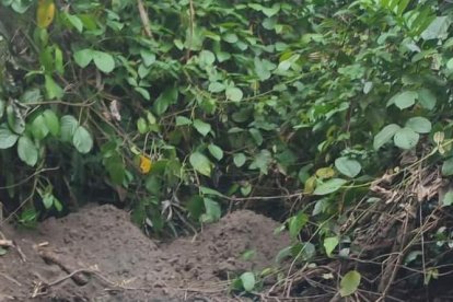 Las chicas fueron halladas sepultadas.