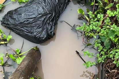 En la vía Durán-Tambo una persona fue hallada desmembrada.
