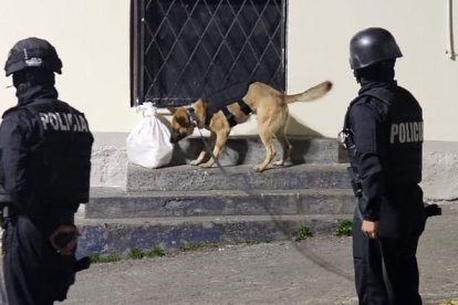 Un perro verificó el contenido de aquella funda y con sus movimientos se confirmó la presencia explosiva.
