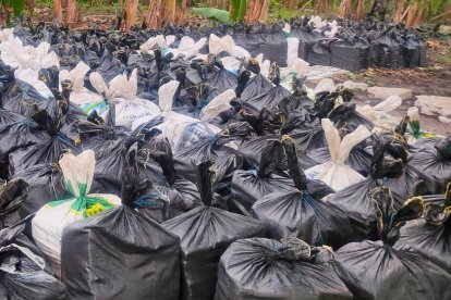 El 21 de enero pasado, en un operativo militar y policial descubrieron una caleta con más de 21 toneladas de droga.