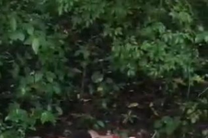 Las víctimas fueron halladas la mañana de este jueves 15 de febrero.