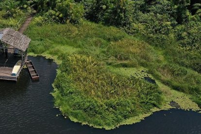 Este humedal es un sitio que conserva la belleza y la riqueza de los ecosistemas del Chocó.