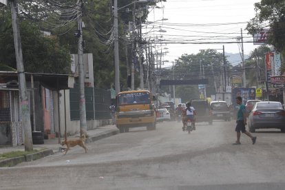 Las calles de Chongón, en la tarde del domingo 18, lucían así. En ellas, no habían patrullajes policiales ni militares.