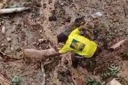 Momento del rescate del perro