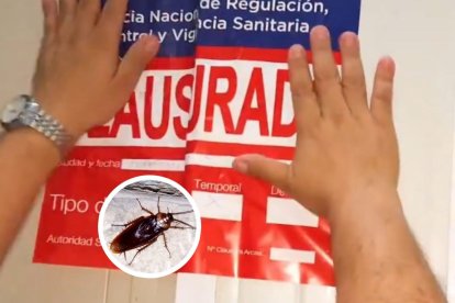 El lugar fue clausurado luego de constatar la presencia de cucarachas en varios espacios de almacenamiento de alimentos