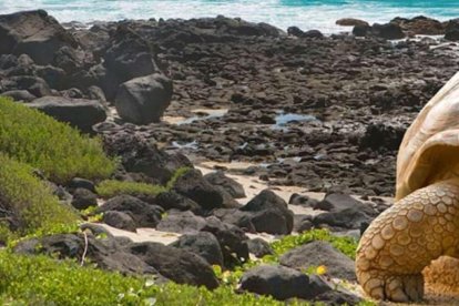 Las Islas encantadas es uno de los lugares privilegiados para apreciar el evento astronómico