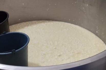 Así se encontraban los envases donde reposaban los lacteos