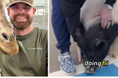 Capturas de video del doctor atendiendo a sus pacientes