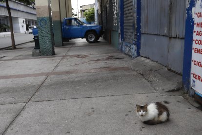El hecho ocurrió en una acera, del lado de en frente al estadio.