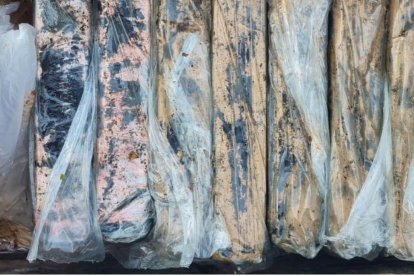 El material hallado.