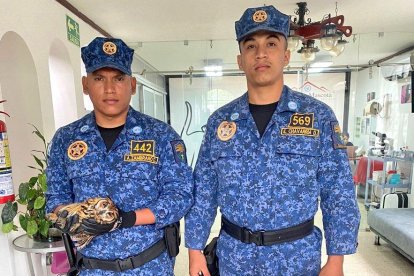 Los agentes de control municipal junto al ave rescatada en Cerro El Paraíso