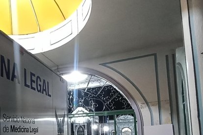 La policía realizó el procedimiento policial luego que una doctora descubriera que la criatura estaba en una mochila.