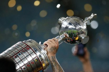 Copa Libertadores de América