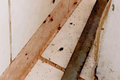 Fotografía de la condición que se encontraba la cocina de uno de los establecimientos clausurados