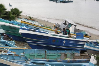 Decenas de lanchas están varadas en las playas de la Península.