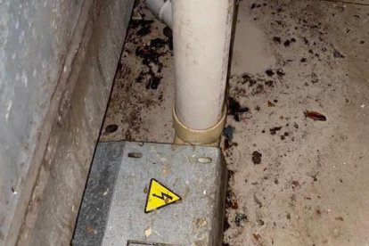 Así lucía uno de los establecimientos clausurados