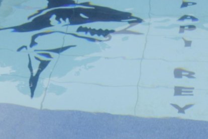 En la piscina había un dibujo de un tiburón y la frase 