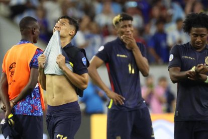 La Tricolor se quedó en los cuartos de  final de la Copa América.