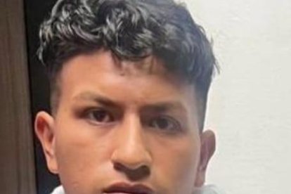 El sujeto cumple con prisión preventiva. Durante la detención habría confesado los motivos.