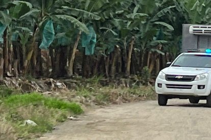 El cuerpo fue hallado cerca de un botadero de basura.