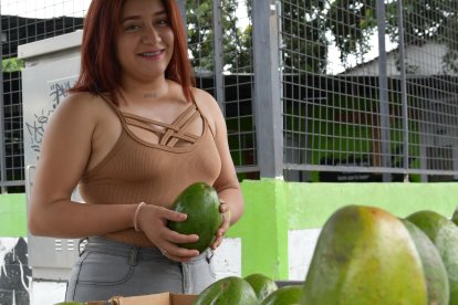 Nicoll Criollo vende dos aguacates grandes por 5 dólares.