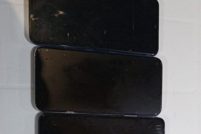 Estas fueron las evidencias que le encontraron a la sospechosa.