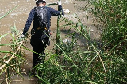 En la búsqueda también apoyaron miembros del Cuerpo de Agentes de Control Metropolitano.