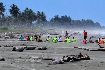Con sus chalecos fosforescentes, los pequeños futbolistas se confunden con el paisaje de la playa.