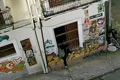 Los intrusos se las ingenian para entrar a la propiedad y hacer de las suyas.