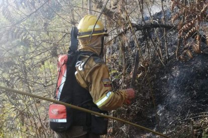 Bomberos luchan por controlar el incendio forestal.