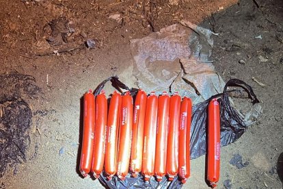 Los explosivos hallados cerca de acto de Daniel Noboa.