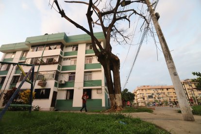 Este es uno de los árboles afectados por una plaga. Los vecinos piden que se lo recorte.