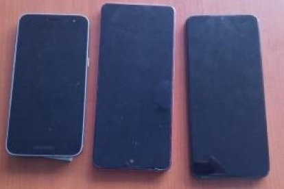 Esta es la evidencia que les encontraron a los sujetos.