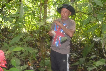 Luis Yumbo, chamán de Orellana, habla sobre las características de la selva.