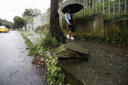 Estudiantes también deben caminar por estas aceras en mal estado.