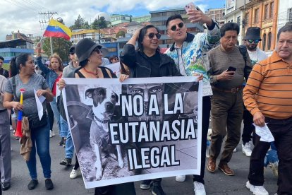 Gremios animalistas han realizado marchas en reclamo a situaciones negativas contra mascotas.