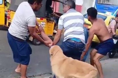 Momento en que la ciudadanía intentó ayudar a la víctima.