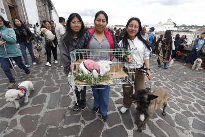Mayra Fuentes y sus hijas llevaron a su mascota Loly, una coneja de 4 meses.