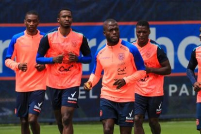 Ecuador se prepara para su último partido de 2025, será ante Nueva Zelanda.