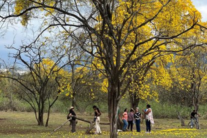 Las comunidades locales de Zapotillo se preparan para recibir visitantes, combinando turismo, gastronomía típica y conservación del bosque seco.