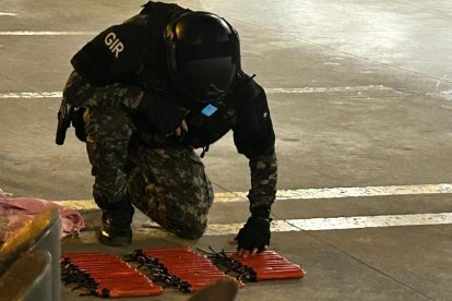 Los explosivos fueron hallados en poder de la mujer.